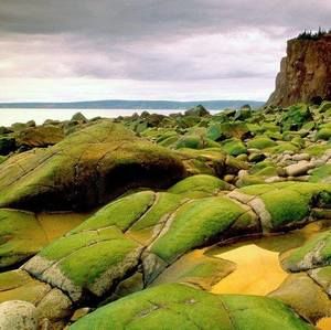 Meet your Posher, Um fahad